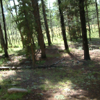DSCF0260