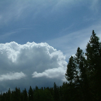 DSCF0264