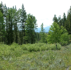 DSCF0267