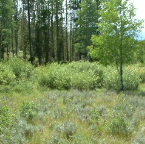 DSCF0272