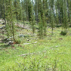 DSCF0277