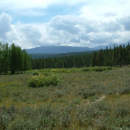 DSCF0282