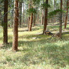 DSCF0284