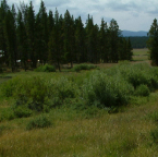 DSCF0289