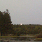 Beaveronpond 044