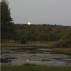 Beaveronpond 047