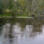 Beaveronpond 051