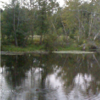 Beaveronpond 041