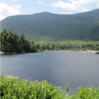 loon 582