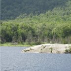 loon 585