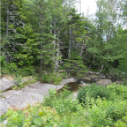 loon 589