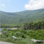 loon 593