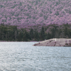 loon 607