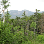 loon 674