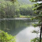 loon 689