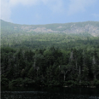 loon 695