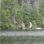 loon 701