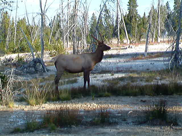 DSCF0652.AVI