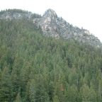 DSCF0252