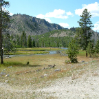 DSCF0254