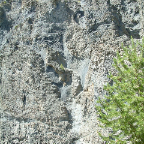 DSCF0262
