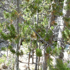 DSCF0272