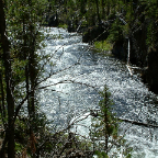 DSCF0273