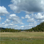 DSCF0277