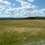 DSCF0282