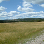 DSCF0283