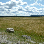 DSCF0284
