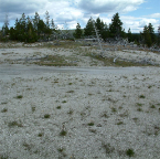 DSCF0294