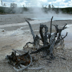 DSCF0301