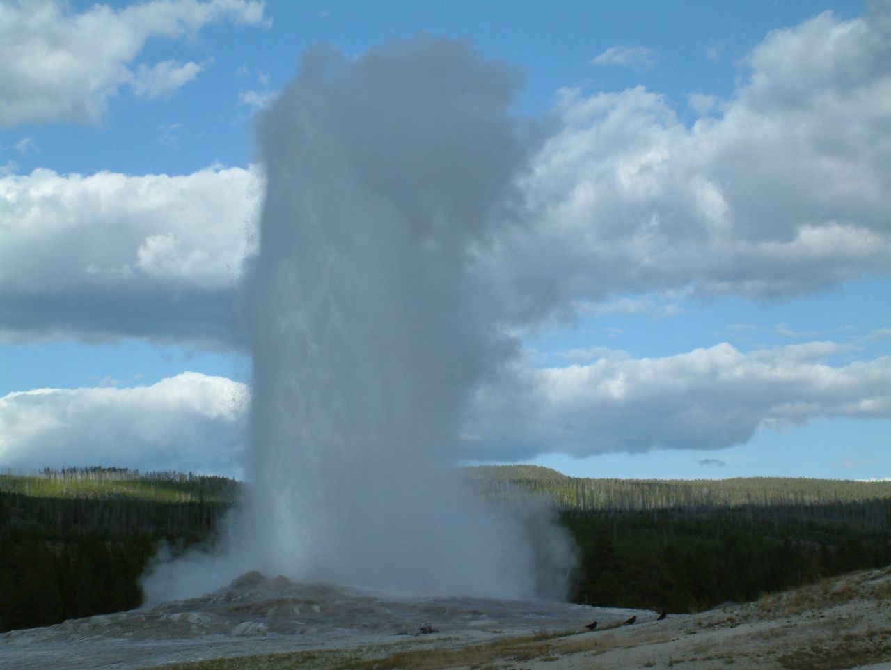 Loading Image