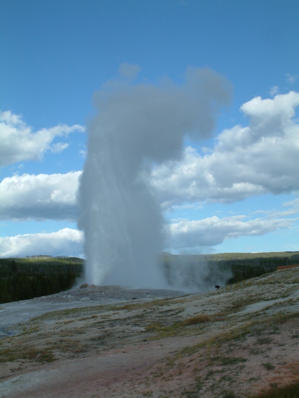 Loading Image