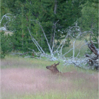 DSCF0328