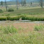 DSCF0351
