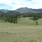 DSCF0352