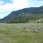 DSCF0354