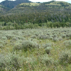 DSCF0356