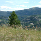 DSCF0369