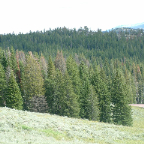 DSCF0375