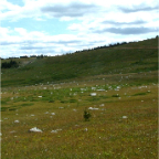 DSCF0384