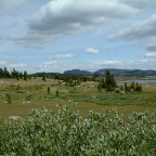 DSCF0385