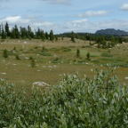 DSCF0386