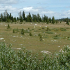 DSCF0387