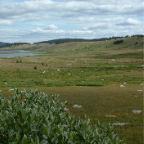 DSCF0389