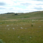 DSCF0390