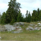 DSCF0391