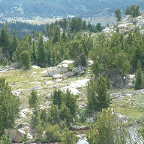 DSCF0393